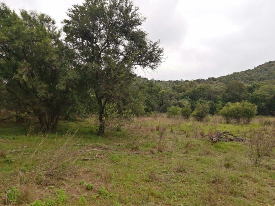 Commercial Property for Sale in Swartruggens North West